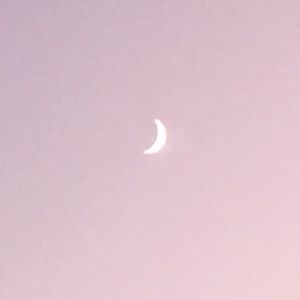 Meet your Posher, Kylea